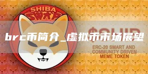brc币简介_虚拟币市场展望